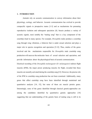 63
1. INTRODUCTION
Animals rely on acoustic communication to convey information about their
physiology, ecology, and behavior. Acoustic communication has evolved to provide
conspecific signals to prospective mates [1-3] and as mechanisms for premating
reproductive isolation and subsequent speciation [4]. Insects produce a variety of
acoustic signals, most notably the “mating song” that is a key component of the
courtship ritual in many species. For example, Drosophila males produce a courtship
song through wing vibrations, a behavior that is under sexual selection and plays a
major role in species recognition and speciation [5-12]. Thus, studies of the genes
involved and the mechanisms responsible for Drosophila male courtship song
production will uncover the molecular basis of sexual selection and speciation, and
provide information about the physiological basis of acoustic communication.
Electrical recording of the Drosophila melanogaster (D. melanogaster) indirect flight
muscles (IFM), the major power producing muscles for flight, revealed that these
muscles are neurally activated during the courtship song [13]. However, the precise role
of the IFM in courtship song production has not been examined. Additionally, many
genes that affect courtship song have been identified through mutational and
quantitative analyses [14, 15], but none of them are muscle protein genes.
Interestingly, none of the genes identified through classical genetic approaches are
among the candidates identified by quantitative genetic approaches [14]
suggesting that our understanding of the genetic basis of mating song is still in its
 