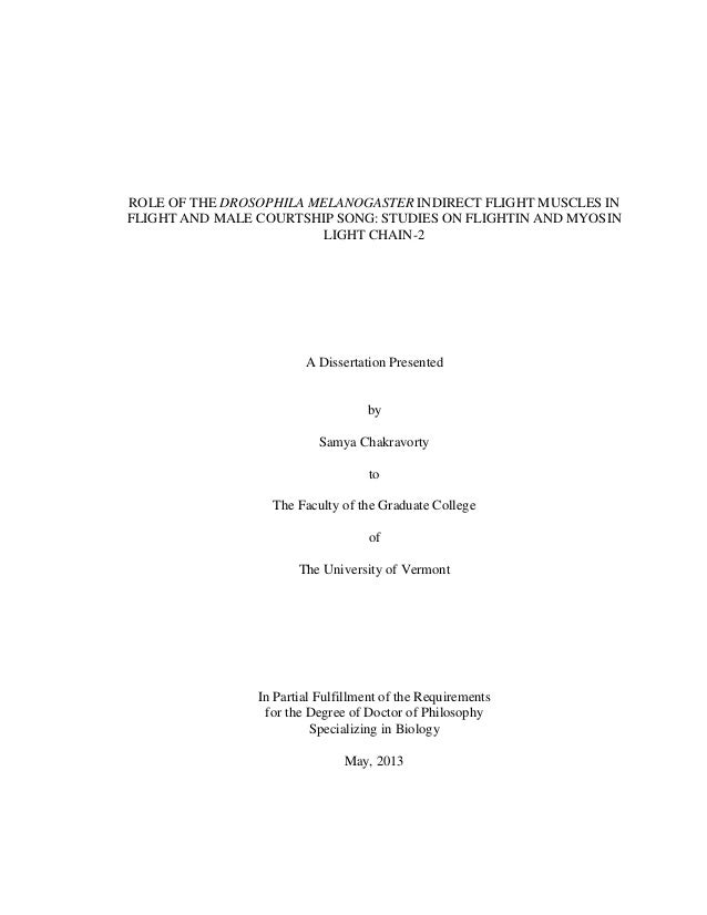 Samuel laryea phd thesis