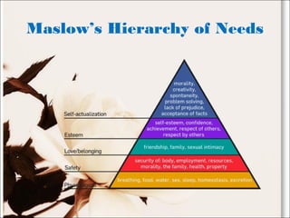 Maslow’s Hierarchy of Needs
 