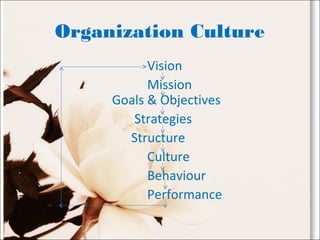 Organization Culture
Vision
Mission
Goals & Objectives
Strategies
Structure
Culture
Behaviour
Performance
 