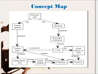 Concept Map
 