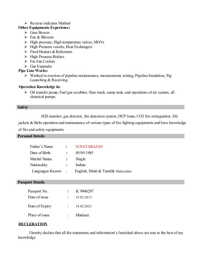 Curriculum vitae format in word picture