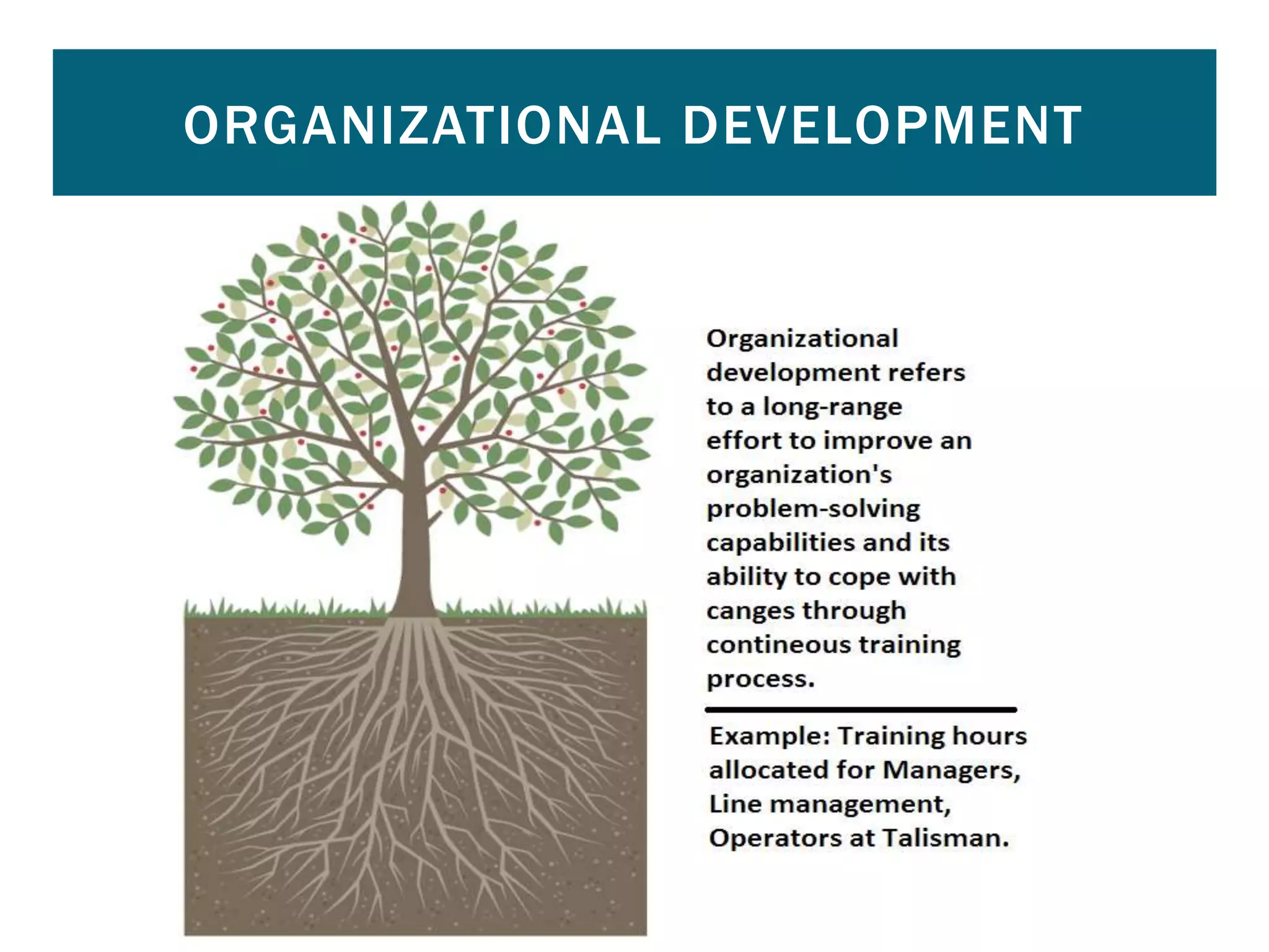 ORGANIZATIONAL DEVELOPMENT
 