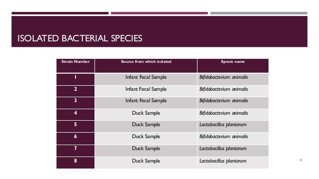 Antibacterial thesis picture