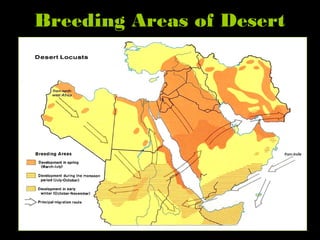 Breeding Areas of Desert
Locusts
 