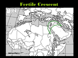 Fertile Crescent
 