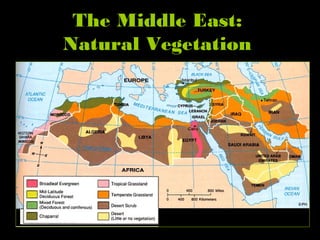 The Middle East:
Natural Vegetation
 