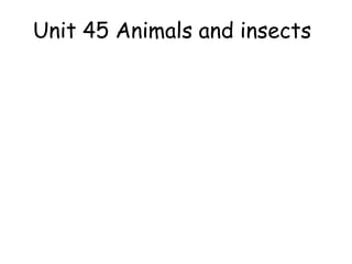 Unit 45 Animals and insects
 