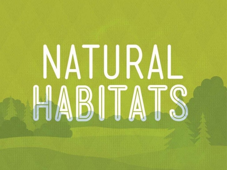 Natural Habitats