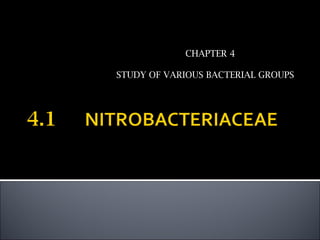 CHAPTER 4

STUDY OF VARIOUS BACTERIAL GROUPS
 