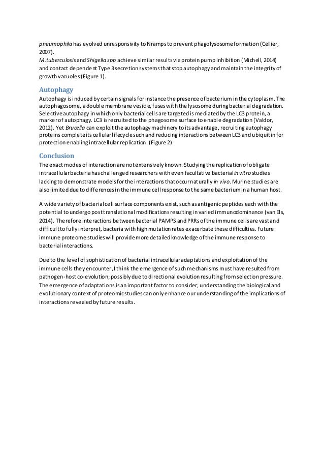 Dissertation meaning image