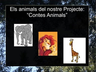 Els animals del nostre Projecte: “Contes Animals” 