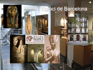 Museu Egipci de Barcelona
 