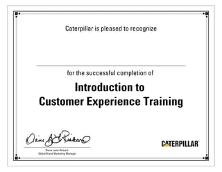 Caterpillar is pleased to recognize
for the successful completion of
Introduction to
Customer Experience Training
Diane Lantz-Rickard
Global Brand Marketing Manager
'Remi Kayode
 