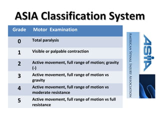 TL Spine Injury 2 | PPT