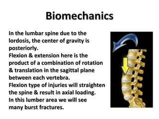 TL Spine Injury 2 | PPT