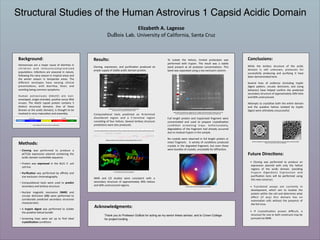 Undergraduate research poster template image