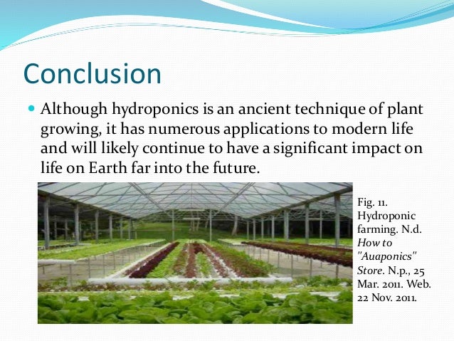What is hydroponics picture