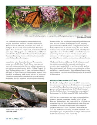 The Campus Wild | PDF