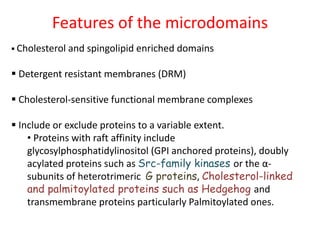 Features of the microdomains
 Cholesterol and spingolipid enriched domains
 Detergent resistant membranes (DRM)
 Cholesterol-sensitive functional membrane complexes
 Include or exclude proteins to a variable extent.
• Proteins with raft affinity include
glycosylphosphatidylinositol (GPI anchored proteins), doubly
acylated proteins such as Src-family kinases or the α-
subunits of heterotrimeric G proteins, Cholesterol-linked
and palmitoylated proteins such as Hedgehog and
transmembrane proteins particularly Palmitoylated ones.
 