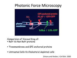 Photonic Force Microscopy
Comparision of Viscous Drag of:
 Raft Vs Non Raft proteins
 Transmembrane and GPI anchored proteins
 Untreated Cells Vs Cholesterol depleted cells
Simons and Horber, J Cell Biol. 2000
 