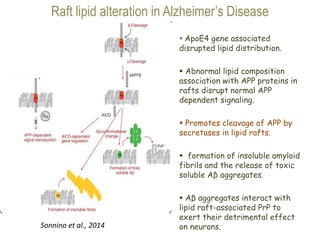 Raft lipid alteration in Alzheimer’s Disease
 ApoE4 gene associated
disrupted lipid distribution.
 Abnormal lipid composition
association with APP proteins in
rafts disrupt normal APP
dependent signaling.
 Promotes cleavage of APP by
secretases in lipid rafts.
 formation of insoluble amyloid
fibrils and the release of toxic
soluble Aβ aggregates.
 Aβ aggregates interact with
lipid raft-associated PrP to
exert their detrimental effect
on neurons.Sonnino et al., 2014
 