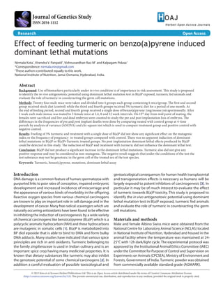 Research							 Open Access
Effect of feeding turmeric on benzo(a)pyrene induced
dominant lethal mutations
Nirmala Kota*
, Virendra V. Panpatil†
, Vishnuvardhan Rao M†
and Kalpagam Polasa†
*Correspondence: nirmala.nin@gmail.com
†
These authors contributed equally to this work.
National Institute of Nutrition, Jamai Osmania, Hyderabad, India.
Abstract
Background: Use of biomarkers particularly under in vivo condition is of importance in risk assessment. This study is proposed
to identify the in vivo antigenotoxic potential using dominant lethal mutation test in B(a)P exposed, turmeric fed animals and
evaluate the role of turmeric in counteracting the germ cell mutations.
Methods: Twenty four male mice were taken and divided into 4 groups each group containing 6 mice/group. The first and second
group received stock diet (control) while the third and fourth groups received 5% turmeric diet for a period of one month. At
the end of feeding period, second and fourth group received a single dose of benzo(a)pyrene 1mg/mouse intraperitoneally. After
1 week each male mouse was mated to 3 female mice at 1,4, 8 and 12 week intervals. On 13th
day from mid point of mating, the
females were sacrificed and live and dead embryos were counted to study the pre and post implantation loss of embryos. The
differences in the frequencies of pre and post implant deaths were done by comparing treated with control group at 4-time
periods by analysis of variance (ANOVA) and chi-square test which is used to compare treatment group and positive control with
negative control.
Results: Feeding of 5% turmeric and treatment with a single dose of B(a)P did not show any significant effect on the mutagenic
index or the frequency of pregnancy in treated groups compared with control. There was no apparent induction of dominant
lethal mutations in B(a)P or B(a)P+Turmeric treated groups. No post implantation dominant lethal effects produced by B(a)P
could be detected in this study. The induction of B(a)P and treatment with turmeric did not influence the dominant lethal test.
Conclusion: B(a)P did not produce a significant increase in the dominant lethal mutations. Turmeric also did not give any
positive response and may be considered as non-mutagenic. The negative result suggests that under the conditions of the test the
test substance may not be genotoxic in the germ cell of the treated sex of the test species.
Keywords: Turmeric, benzo(a)pyrene, mutations, dominant lethal assay
© 2013 Kota et al; licensee Herbert Publications Ltd. This is an Open Access article distributed under the terms of Creative Commons Attribution License
(http://creativecommons.org/licenses/by/3.0). This permits unrestricted use, distribution, and reproduction in any medium, provided the original work is properly cited.
Introduction
DNA damage is a common feature of human spermatozoa with
purported links to poor rates of conception, impaired embryonic
development and increased incidence of miscarriage and
the appearance of various kinds of morbidity in the offspring.
Reactive oxygen species from various chemical carcinogens
are known to play an important role in cell damage and in the
development of cancer. Many free radical scavengers which are
naturally occurring antioxidants have been found to be effective
in inhibiting the induction of carcinogenesis by a wide variety
of chemical carcinogens like benzo(a)pyrene (B(a)P) which is a
polycyclic aromatic hydrocarbon (PAH) and these hydrocarbons
are mutagenic in somatic cells [1]. B(a)P is metabolized into
BP diol epoxide that is able to bind to DNA and form bulky
DNA adducts. Many studies have indicated that various spice
principles are rich in anti oxidants. Turmeric belonging to
the family zingiberaceae is used in Indian culinary and is an
important spice crop having many medicinal properties. It is
known that dietary substances like turmeric may also inhibit
the genotoxic potential of some chemical carcinogens [2]. In
addition a careful evaluation of possible toxicological and
gentoxicological consequences for human health transplacental
and transgeneration effects is necessary as humans will be
largely exposed to potent inhibitors of carcinogenesis [3]. In
particular it may be of much interest to evaluate the effect
of turmeric towards B(a)P toxicity. This study is proposed to
identify the in vivo antigenotoxic potential using dominant
lethal mutation test in B(a)P exposed, turmeric fed animals
and evaluate the role of turmeric in counteracting the germ
cell mutations.
Materials and methods
Male and female Albino Swiss mice were obtained from the
National Centre for Laboratory Animal Science (NCLAS) located
in National Institute of Nutrition, Hyderabad and housed in the
animal facility where the temperature was maintained at 24-
25°C with 12h dark/light cycle. The experimental protocol was
approved by the Institutional Animal Ethics Committee (IAEC)
under the Committee for Purpose of Control and Supervision on
Experiments on Animals (CPCSEA), Ministry of Environment and
Forests, Government of India. Turmeric powder was obtained
from commercially available standard grade (AGMARK).
Journal of Genetics Study
ISSN 2054-1112
 