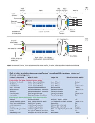 9
Chloride
Sodium
Glutamate
Receptor
GABA
Receptor
Acetylcholine
(Ach) Receptor
POST-
Synapse Axon
Sodium Channels
Muscle
PRE-
Synapse
POST-
Synapse
(A)
(B)
Synapse
Calcium
Channel
Calcium
AchE
AVERMECTINS
PHENYL-
PYRAZOLES
PYRETHRINS, PYRETHROIDS
OXADIAZINES, SEMICARBAZONES
DIAMIDES
OPs, CARBAMATES
NEONICOTINOIDS
SPINOSYNS
Figure 5. Neurological target site of various insecticide classes used by the urban and structural pest management industry.
Mode of action, target site, and primary route of entry of various insecticide classes used in urban and
structural pest management.
Chemical Class / Group	 Mode of Action	 Target Site	 Primary Use/Route of Entry
Insecticides that Target the Insect Nervous System
Pyrethrins / Pyrethroids	 Sodium Channel Modulation	 Axon of Nerve	 Contact
Oxadiazines	 Sodium Channel Blockage	 Axon of Nerve	 Oral
Semicarbazones	 Sodium Channel Blockage	 Axon of Nerve	 Contact & Oral
OPs / Carbamates	 Acetylcholinesterase Inhibition	 Nerve Synapse	 Contact
Neonicotinoids	 Acetylcholine Receptor Stimulation	 Nerve Post-synapse	 Contact & Oral
Spinosyns	 Acetylcholine Receptor Stimulation	 Nerve Post-synapse	 Oral
Phenylpyrazoles	 GABA Receptor Blockage	 Nerve Post-synapse	 Contact & Oral
Avermectins	 Glutamate Receptor Stimulation	 Nerve Post-synapse	 Oral
Insecticides that Do Not Target the Insect Nervous System
Diamides	 Muscle Stimulation	 Muscular Calcium Channel	 Oral
Juvenile Hormone Analogs	 Mimic Juvenile Hormone Action	 JH Degradative Enzymes / Receptor	 Contact & Oral
Chitin Synthesis Inhibitors	 Block Chitin Formation	 Exoskeleton	 Oral
Amidinohydrazones	 Inhibit Energy Production	 Mitochondria within Cells	 Oral
Pyrroles	 Inhibit Energy Production	 Mitochondria within Cells	 Contact
Fumigant (sulfuryl fluoride)	 Inhibit Energy Production 	 Citric Acid / Glycolysis Cycles in Cells	 Inhalation
Borates	 Non-Specific Metabolic Disruption	 Cells	 Oral
Dehydrating Dusts 	 Adsorption of Cuticular Wax Layer	 Exoskeleton	 Contact
M.Scharf
 