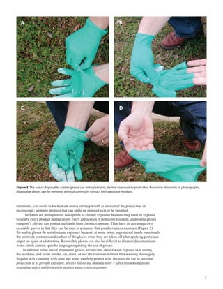 7
Figure 3. The use of disposable, rubber gloves can reduce chronic, dermal exposure to pesticides. As seen in this series of photographs,
disposable gloves can be removed without coming in contact with pesticide residues.
treatments, can result in backsplash and/or off-target drift as a result of the production of
microscopic, airborne droplets that can settle on exposed skin or be breathed.
The hands are perhaps most susceptible to chronic exposure because they must be exposed
to nearly every product during nearly every application. Chemically resistant, disposable gloves
(surgeon’s gloves) can protect the hands from chronic exposure. They have an advantage over
re-usable gloves in that they can be used in a manner that greatly reduces exposure (Figure 3).
Re-usable gloves do not eliminate exposure because, at some point, unprotected hands must touch
the pesticide-contaminated surface of the gloves when they are taken off after applying pesticides
or put on again at a later time. Re-useable gloves can also be difficult to clean or decontaminate.
Some labels contain specific language regarding the use of gloves.
In addition to the use of disposable gloves, technicians should wash exposed skin during
the workday, and never smoke, eat, drink, or use the restroom without first washing thoroughly.
Regular skin cleansing with soap and water can help protect skin. Because the key to personal
protection is to prevent exposure, always follow the manufacturer’s label recommendations
regarding safety and protection against unnecessary exposure.
A
C
B
D
 