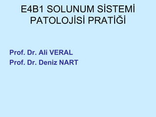 E4B1 SOLUNUM SİSTEMİ 
PATOLOJİSİ PRATİĞİ 
Prof. Dr. Ali VERAL 
Prof. Dr. Deniz NART 
 