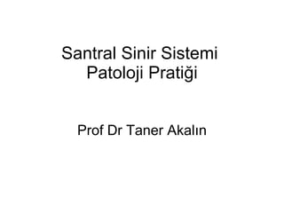 Santral Sinir Sistemi  Patoloji Pratiği Prof Dr Taner Akalın 