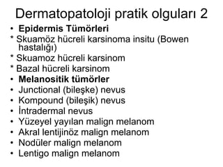 Dermatopatoloji pratik olguları 2 Epidermis Tümörleri * Skuamöz hücreli karsinoma insitu (Bowen hastalığı) * Skuamoz hücreli karsinom * Bazal hücreli karsinom Melanositik tümörler Junctional (bileşke) nevus Kompound (bileşik) nevus İntradermal nevus Yüzeyel yayılan malign melanom Akral lentijinöz malign melanom Nodüler malign melanom Lentigo malign melanom 