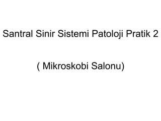 Santral Sinir Sistemi Patoloji Pratik 2  ( Mikroskobi Salonu) 