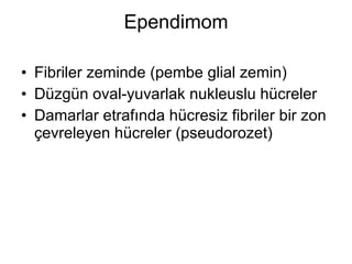Ependimom Fibriler zeminde (pembe glial zemin)  Düzgün oval-yuvarlak nukleuslu hücreler Damarlar etrafında hücresiz fibriler bir zon çevreleyen hücreler (pseudorozet) 