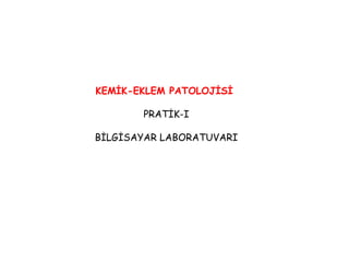 KEMİK-EKLEM PATOLOJİSİ  PRATİK-I BİLGİSAYAR LABORATUVARI 