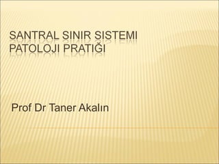 Prof Dr Taner Akalın 