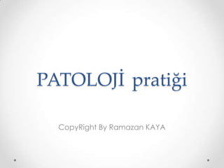 PATOLOJİpratiği CopyRight By Ramazan KAYA 