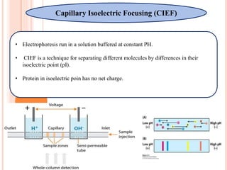 Capillary Electrophoresis | PPTX