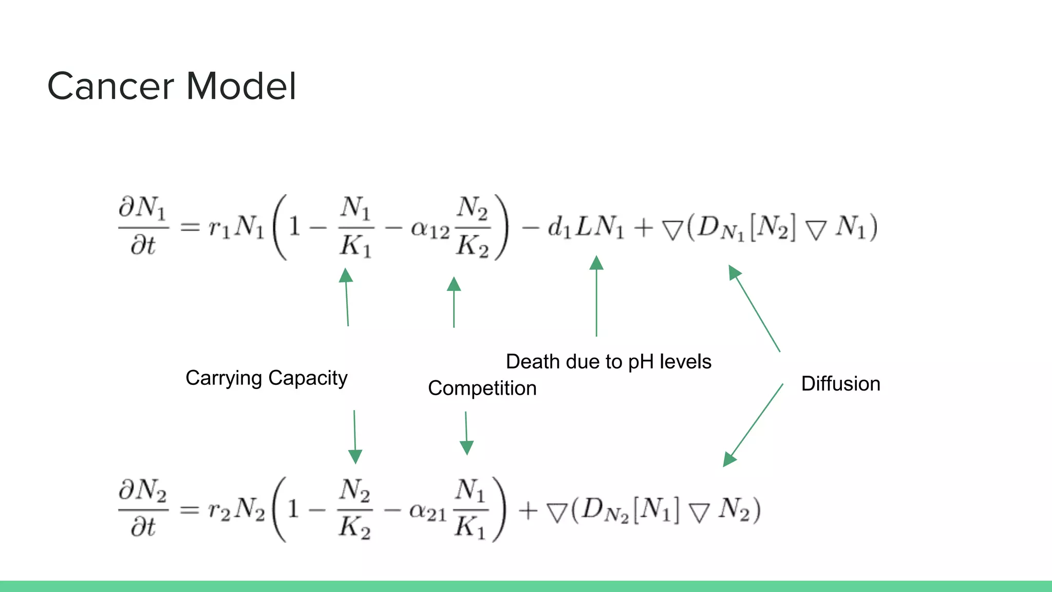 Cancer Model
Carrying Capacity Competition
Death due to pH levels
Diffusion
 