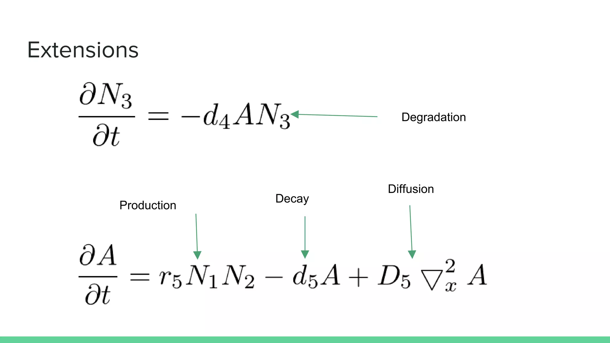 Extensions
Degradation
Production
Decay
Diffusion
 