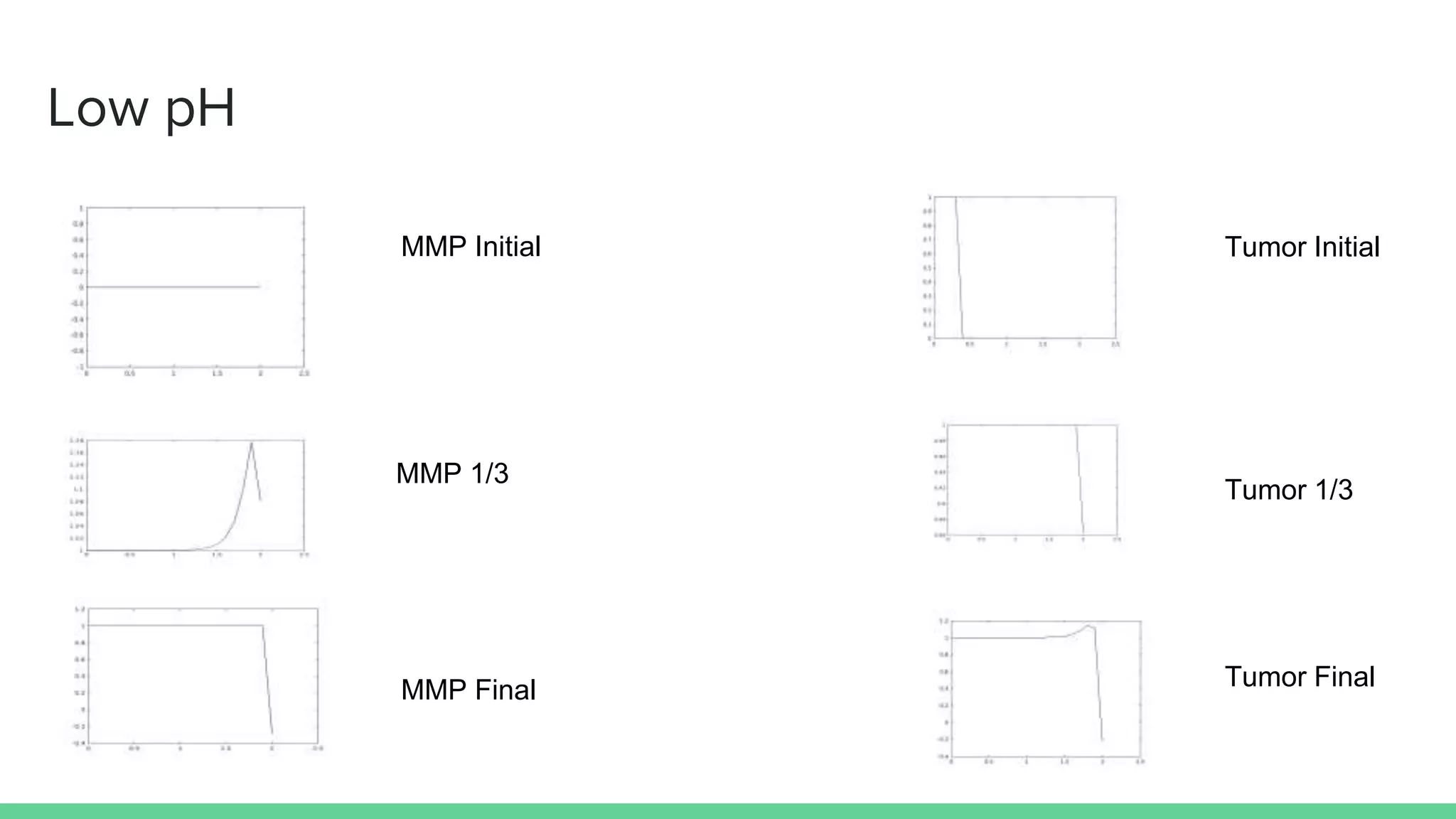 Low pH
MMP Initial
MMP 1/3
MMP Final
Tumor Initial
Tumor 1/3
Tumor Final
 