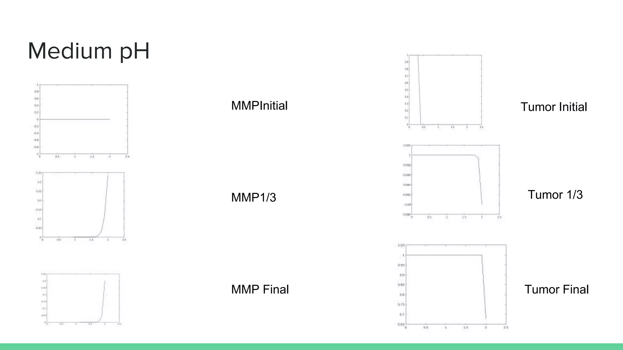 Medium pH
MMPInitial
MMP Final
Tumor Initial
Tumor Final
MMP1/3 Tumor 1/3
 