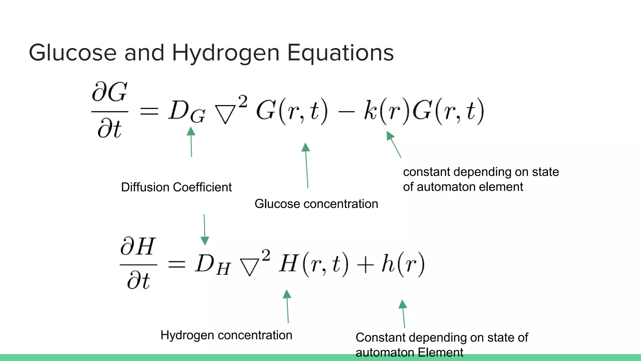 Glucose and Hydrogen Equations
Hydrogen concentration Constant depending on state of
automaton Element
Diffusion Coefficient
Glucose concentration
constant depending on state
of automaton element
 