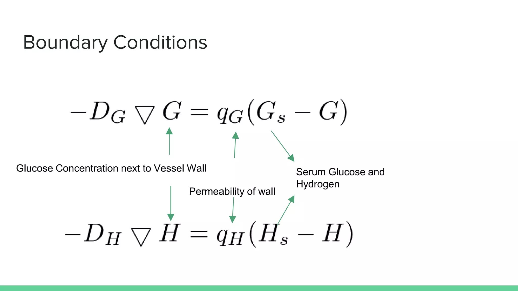 Boundary Conditions
Glucose Concentration next to Vessel Wall
Permeability of wall
Serum Glucose and
Hydrogen
 