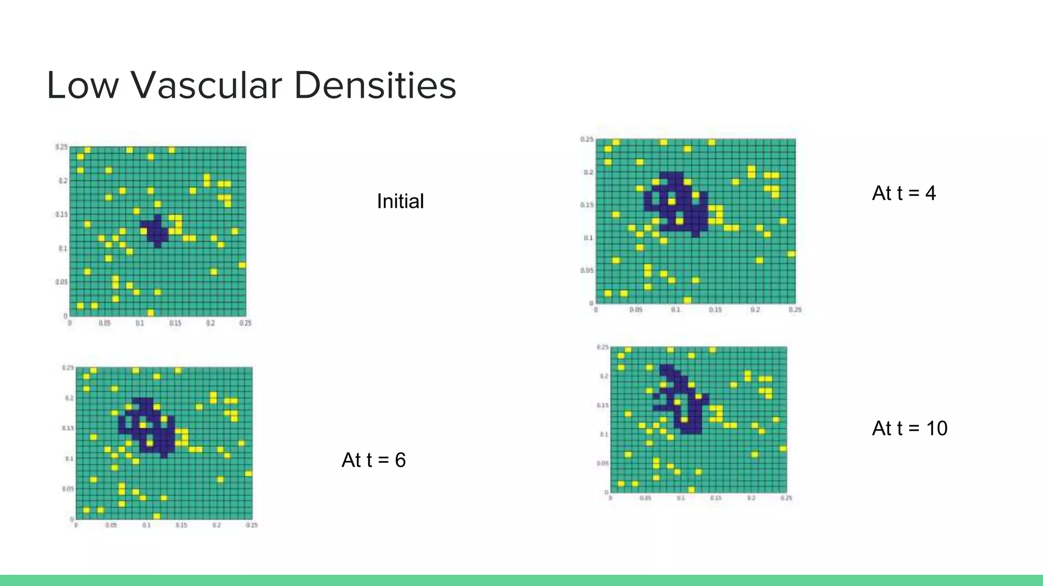 Low Vascular Densities
Initial At t = 4
At t = 6
At t = 10
 