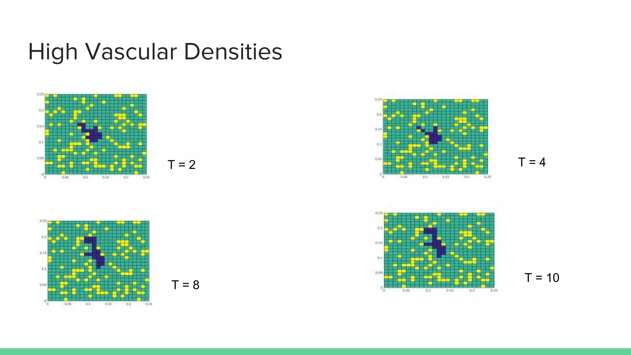 High Vascular Densities
T = 2 T = 4
T = 8
T = 10
 
