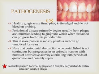  Healthy gingivae are firm , pink, knife-edged and do not
bleed on probing.
 Periodontal disease primarily begins usually from plaque
accumulation leading to gingivitis which when sustained
can progress to chronic periodontitis
 This disease process is mostly painless and can go
unnoticed for years.
 Note that periodontal destruction when established is not
continuous but progresses in an episodic manner with
bursts of destructive activity alternating with periods of
quiescence and possibly repair.
PATHOGENESIS
Foot note: plaque= bacterial aggregation + complex polysaccharide matrix
calculus= calcified plaque
 