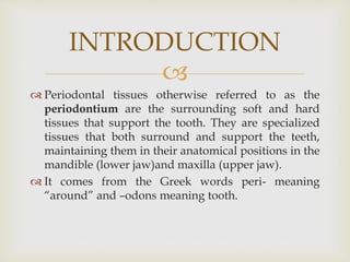 
 Periodontal tissues otherwise referred to as the
periodontium are the surrounding soft and hard
tissues that support the tooth. They are specialized
tissues that both surround and support the teeth,
maintaining them in their anatomical positions in the
mandible (lower jaw)and maxilla (upper jaw).
 It comes from the Greek words peri- meaning
“around” and –odons meaning tooth.
INTRODUCTION
 