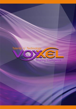 Folder_Voxxel_H_
