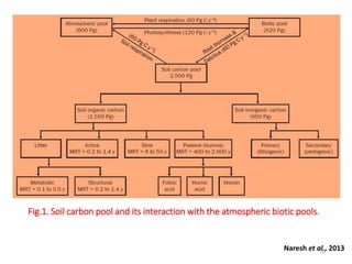 Fig.1. Soil carbon pool and its interaction with the atmospheric biotic pools.
Naresh et al., 201326
 